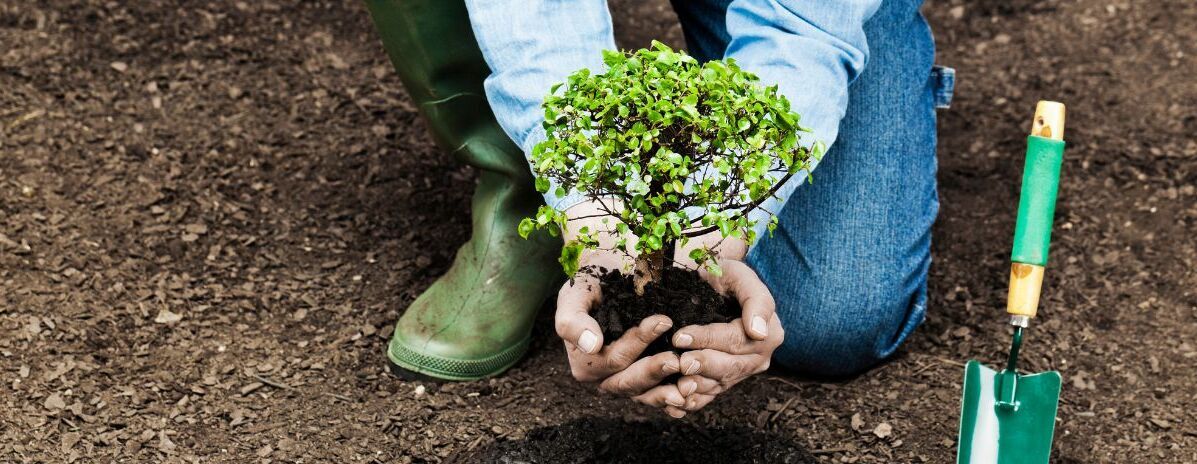St Pat's Day Volunteer at the Food Forest & Community Garden